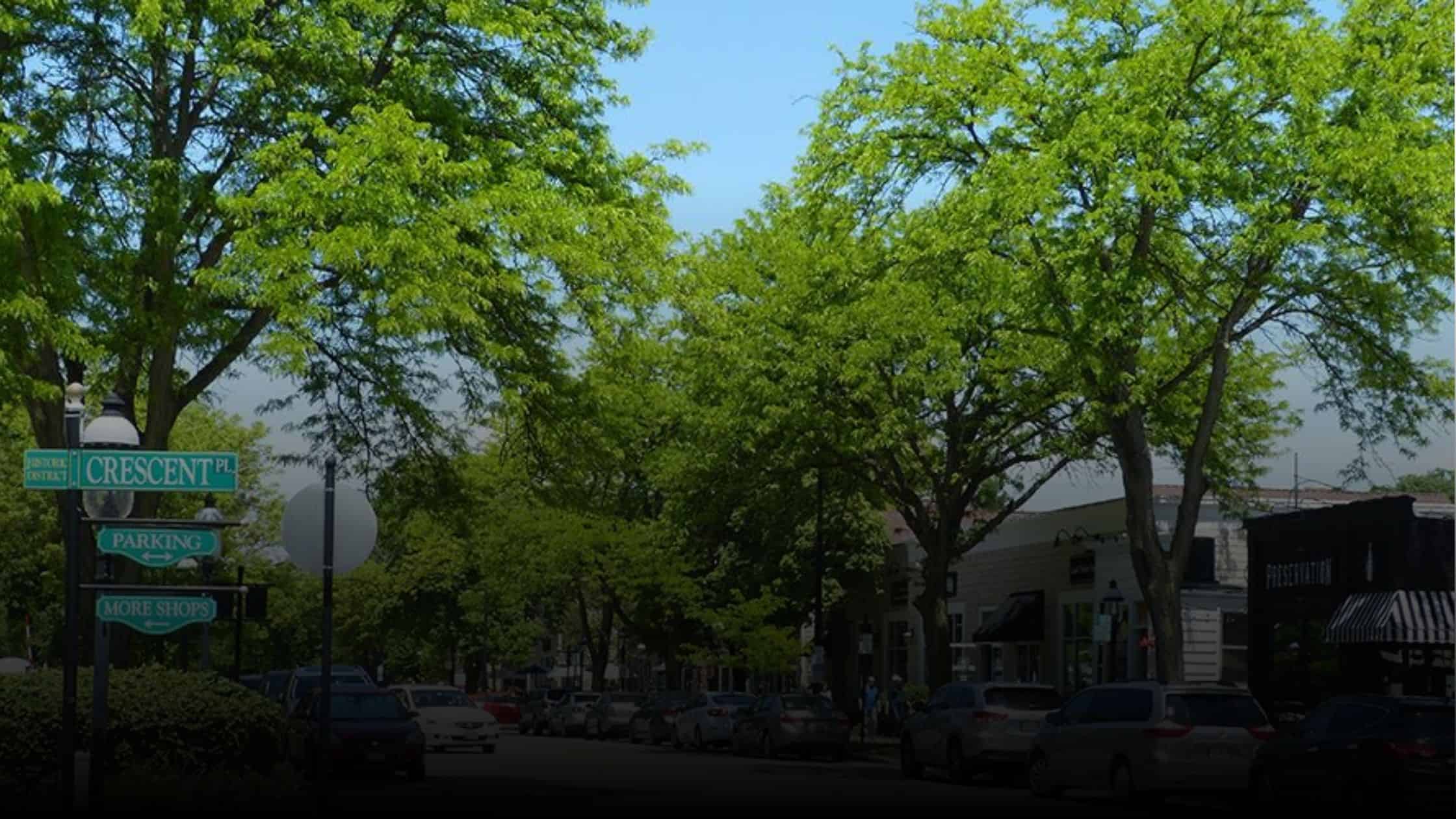 Downtown Geneva Illinois